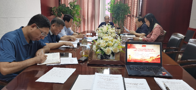 集團公司黨委理論學(xué)習中心組專題學(xué)習習近平總書記視察河南重要講話精神及河南省委工作會議精神